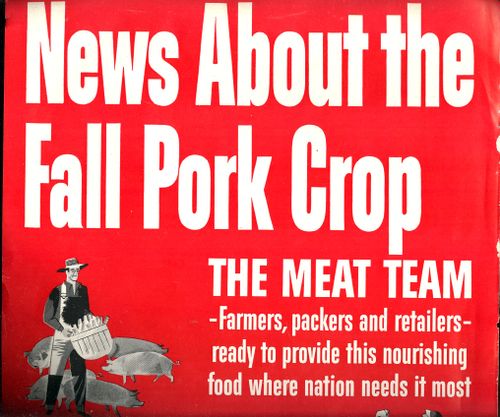 + meat pork chop