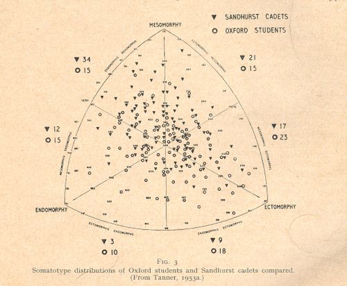Fat map