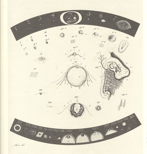 Mar 8--med dots