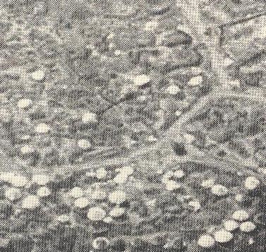 Blog--april 1 detail Blog--april 1 detail