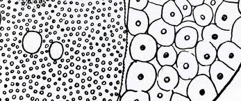 Dots