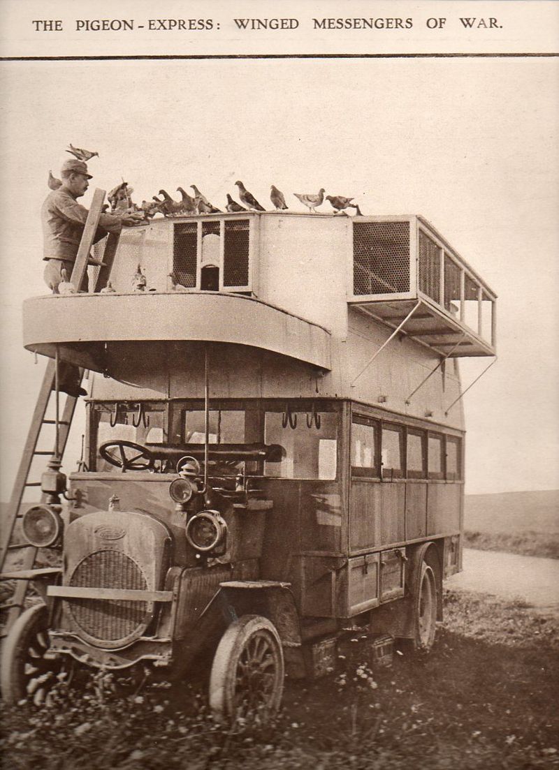 WWI--e---pigeon truck643 WWI--e---pigeon truck643