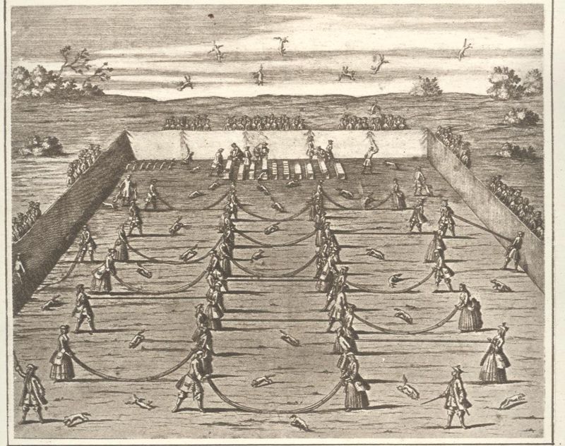 1 april 27 fox tossing