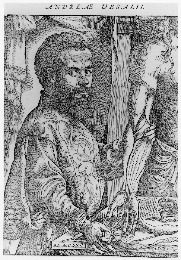 Vesalius