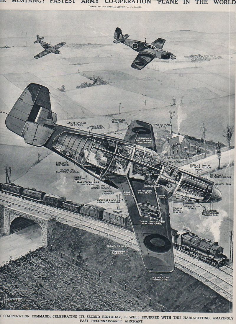 Aircraft x section-mustang849