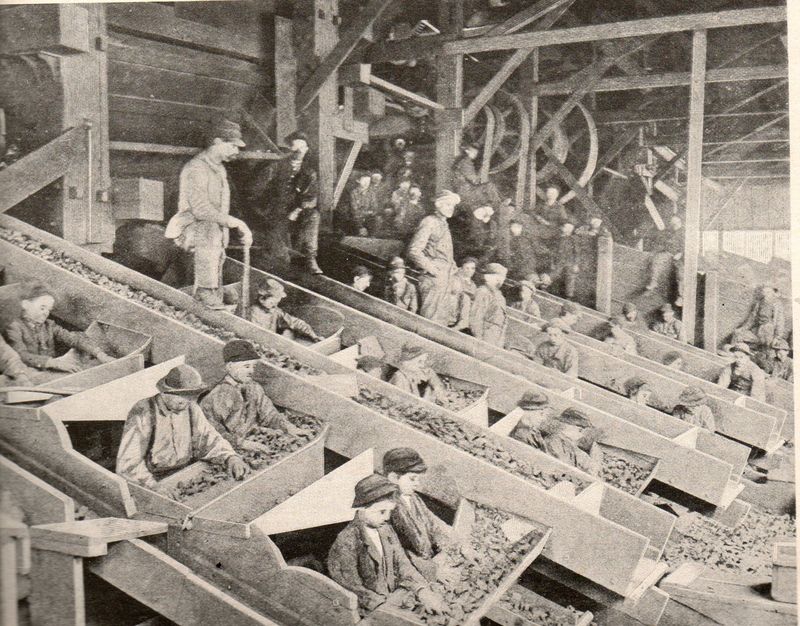Coal boys231
