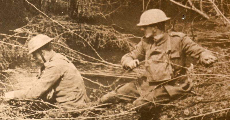 WWI photos--blowing up trees365