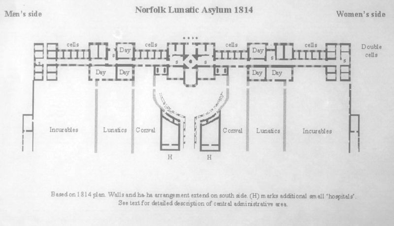 Lunatic norfolk