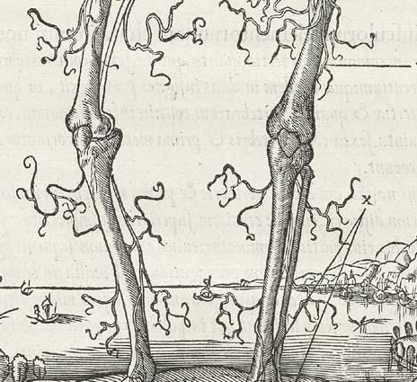 Estienne_p059 b