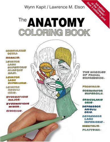 Coloring book anatomy