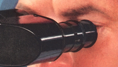 Ciggies--eyes w microscope det Ciggies--eyes w microscope det