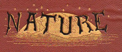 Nature099