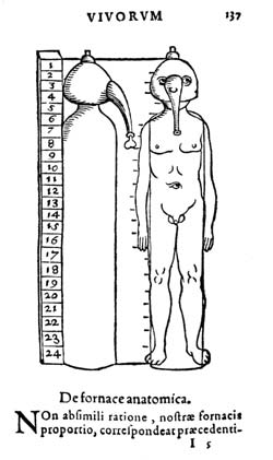 Paracelsus furnace