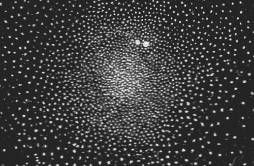 Astronomy--47 tuc big detail Astronomy--47 tuc big detail