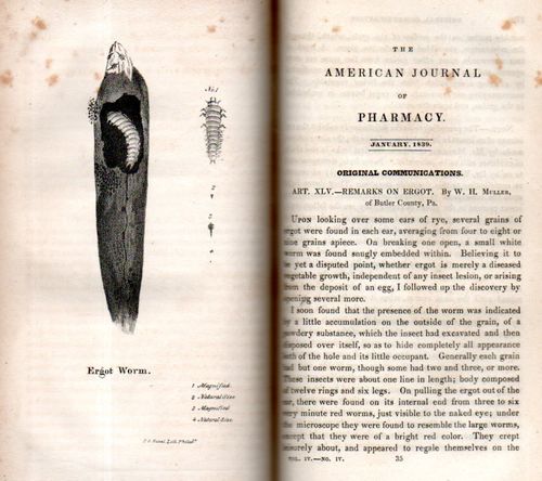Ergot435 Ergot435