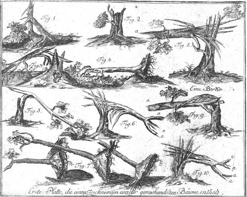Tornado trees