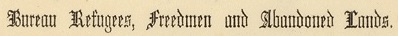 Freedman det
