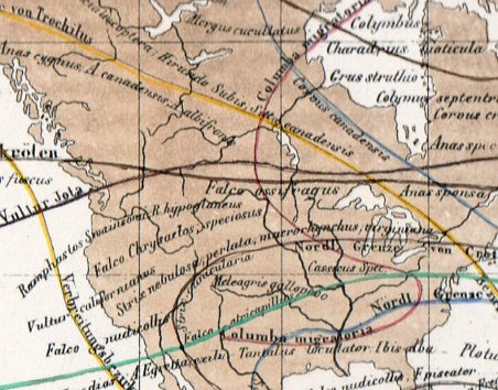 World lines018