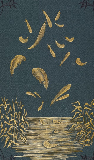 Feathers detail