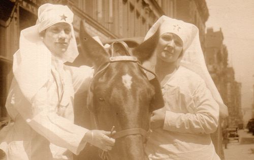 WWI Photo three nurses and horse172 WWI Photo three nurses and horse172