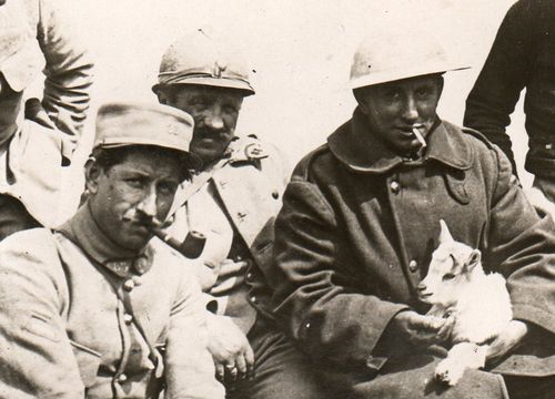 WWI Dogs182 WWI Dogs182
