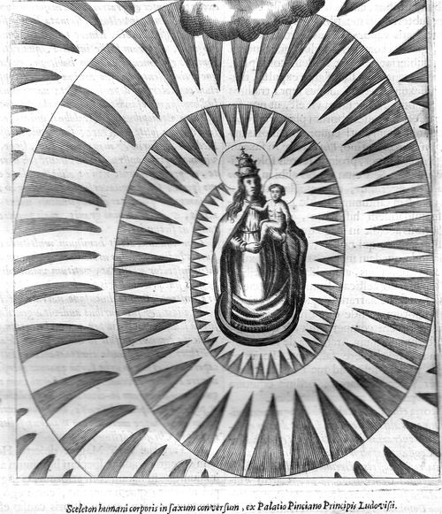Kircher 49b059