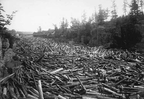 Log jam