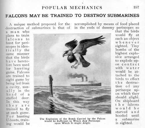 Exploding falcons956 Exploding falcons956