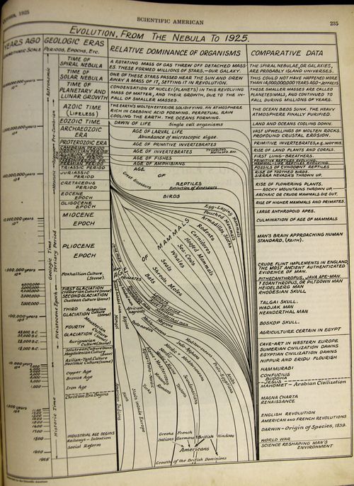 Evolution chart