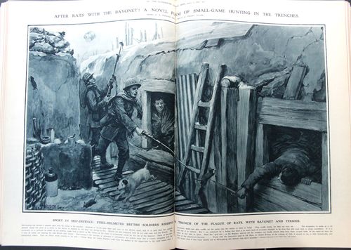 WWI Project Rat Hunting WWI Project Rat Hunting