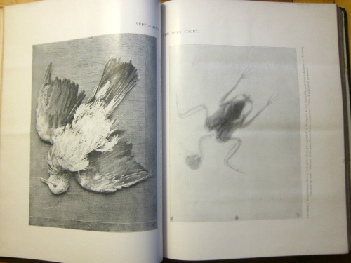 X-ray _1_ X-ray _1_