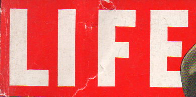 LIFE logo156