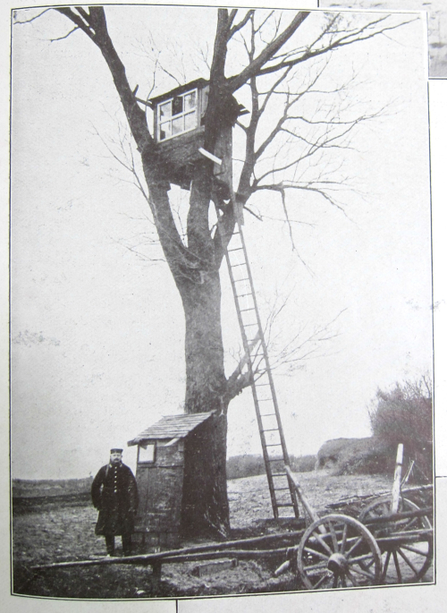 WWI Project tree house 1914 WWI Project tree house 1914