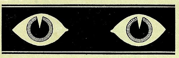 Pamphlet cover should insanity detail