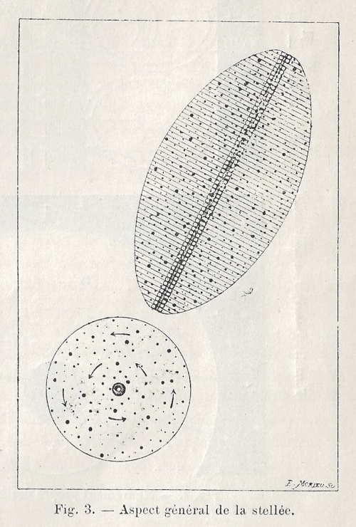 DocFile (1)