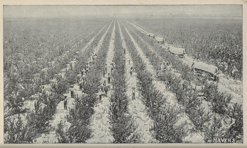 Georgia resources _3_