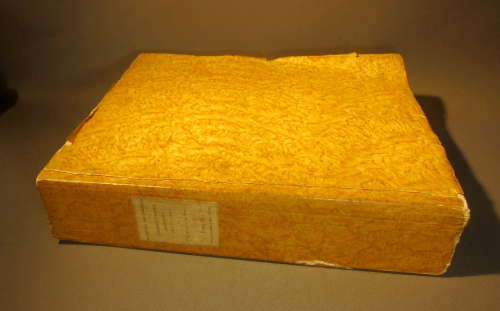 Piezo _2_