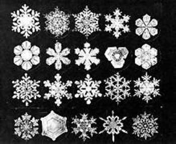 Blogsnowflake_bentley