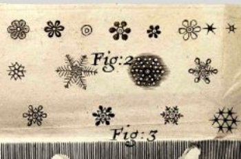Blogsnowflake_hooke