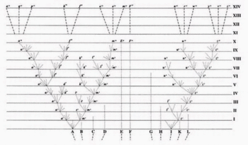 Darwintreeoflife Darwintreeoflife