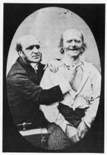 Insane_darwin_electrical Insane_darwin_electrical
