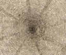 Kircher hole_edited-1