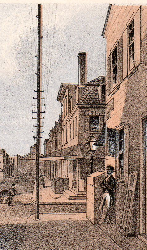 Telephone poles867